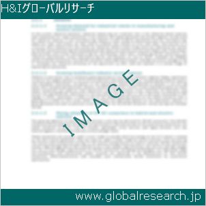 グローバルリサーチ調査レポートのイメージ